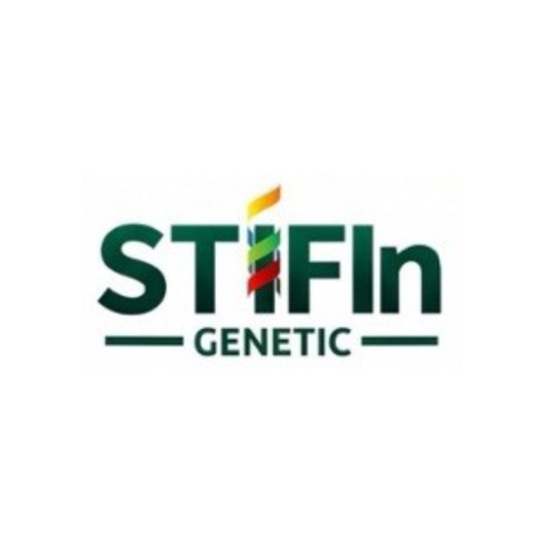 STIFIn Genetic