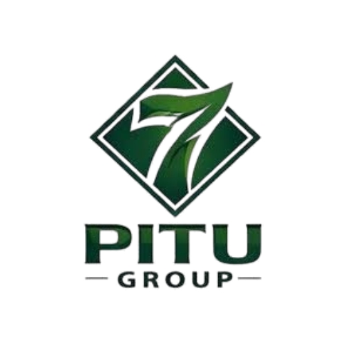 Pitu Group