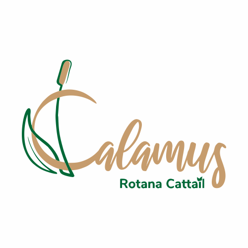 PT. Calamus Rotana Cattail