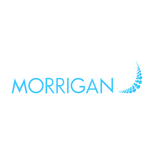 PT. Morrigan Services