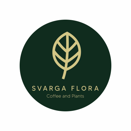 Svarga Flora Coffee & Plants